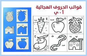 صورة المنتج للزوار 300x194