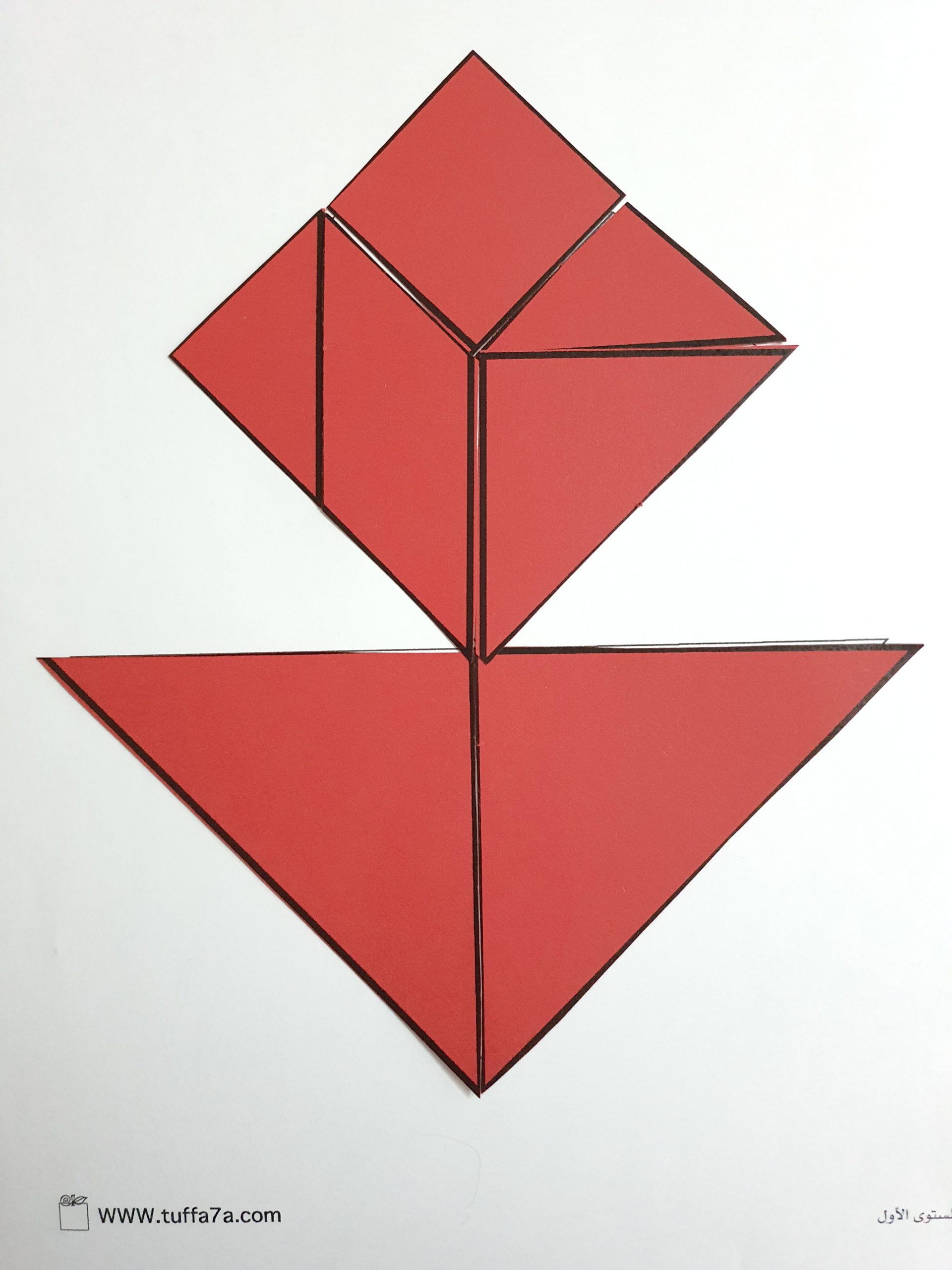 وردة تانغرام 1 scaled