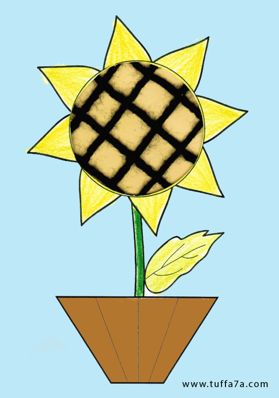 Sunflower copy